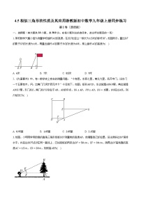 初中数学浙教版九年级上册4.3 相似三角形精品精练