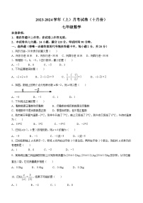 辽宁省大连市一一七中学2023-2024学年七年级上学期10月月考数学试题