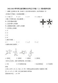 2022-2023学年河北省邯郸市永年区八年级（上）期末数学试卷（含解析）