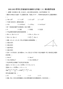 2022-2023学年江苏省扬州市高邮市七年级（上）期末数学试卷（含解析）