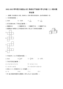 2022-2023学年四川省眉山市仁寿县长平初级中学七年级（上）期末数学试卷（含解析）