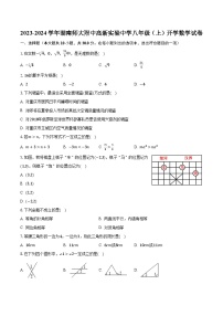 2023-2024学年湖南师大附中高新实验中学八年级（上）开学数学试卷（含解析）