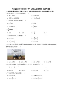 广东省惠州市2023-2024学年七年级上册数学第一次月考试卷