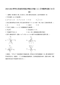 2023-2024学年江苏省苏州重点学校九年级（上）月考数学试卷（10月份）（含解析）