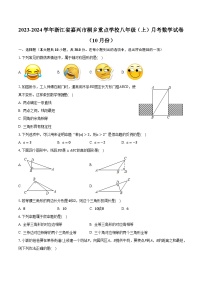 2023-2024学年浙江省嘉兴市桐乡重点学校八年级（上）月考数学试卷（10月份）（含解析）