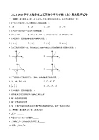 2022-2023学年上海市宝山区罗南中学八年级（上）期末数学试卷（含解析）