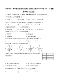 2023-2024学年湖北省武汉市武昌区湖北大学附中九年级（上）月考数学试卷（10月份）（含解析）