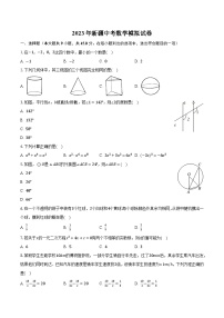 2023年新疆中考数学模拟试卷（含解析）