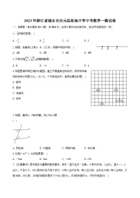 2023年浙江省丽水市庆元县荷地中学中考数学一模试卷（含解析）