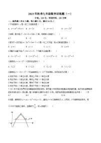 湖北省黄冈市黄梅县部分学校2023-2024学年九年级上学期第一次月考数学试题