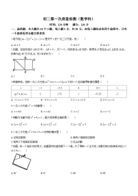 广东省佛山市顺德区莘村中学2023-2024学年九年级上学期月考数学试题(无答案)