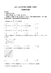 黑龙江省大庆市肇源县东部四校2023-2024学年九年级上学期10月月考数学试题