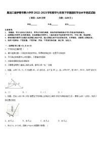 黑龙江省伊春市伊美区第六中学2022-2023学年七年级下学期数学期末学业水平测试试题