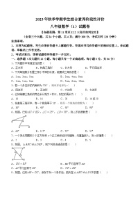 云南省昭通市昭阳区昭阳区第一中学等校联考2023-2024学年八年级上学期10月月考数学试题