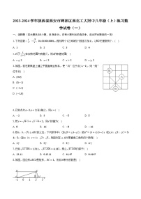 2023-2024学年陕西省西安市碑林区西北工大附中八年级（上）练习数学试卷（一）（含解析）