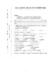 河南省驻马店市泌阳县2023-2024学年九年级上学期10月月考数学试题