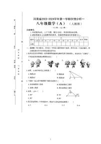 河南省驻马店市泌阳县2023-2024学年八年级上学期10月月考数学试题