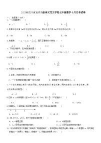 四川省宜宾市叙州区龙文学校2023--2024学年上学期七年级数学十月月考试题