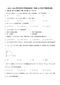 江苏省苏州市苏州工业园区苏州中学园区校2023-2024学年九年级上学期10月月考数学试题