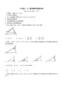 山东省聊城市高唐县第一实验中学2023-2024学年九年级上学期第一次学业水平评估月考数学试题(无答案)