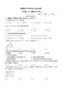 四川省成都市武侯区成都西川中学2023-2024学年九年级上学期10月月考数学试题(无答案)