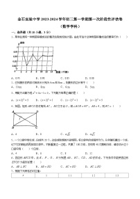 广东省佛山市南海区金石实验中学2023-2024学年九年级上学期月考数学试题(无答案)