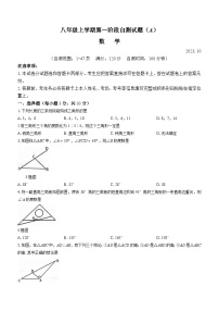 山西省吕梁市兴县红旗中学2023-2024学年八年级上学期第一次月考数学试题