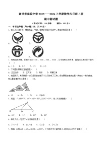 黑龙江省佳木斯市富锦市实验中学2023-2024学年八年级上学期期中数学试题(无答案)