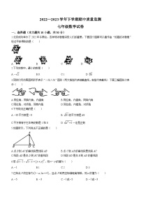 河南省洛阳市伊滨区、瀍河区2022-2023学年七年级下学期期中数学试题