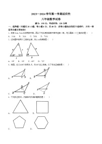 山东省日照市岚山区碑廓镇初级中学2023-2024学年八年级上学期10月月考数学试题(无答案)