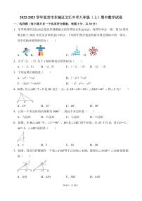 2022-2023学年北京市东城区文汇中学八年级（上）期中数学试卷（无答案）