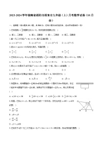 2023-2024学年湖南省邵阳市邵东市九年级（上）月考数学试卷（10月份）(含解析）