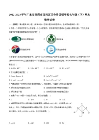 2022-2023学年广东省深圳市龙岗区百合外国语学校七年级（下）期末数学试卷（含解析）