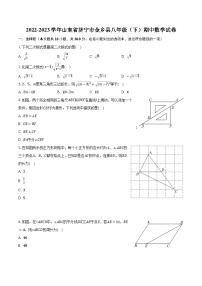 2022-2023学年山东省济宁市金乡县八年级（下）期中数学试卷（含解析)