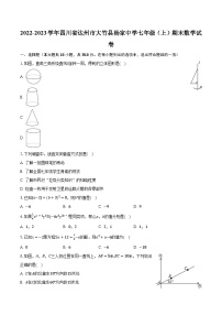 2022-2023学年四川省达州市大竹县杨家中学七年级（上）期末数学试卷（含解析)