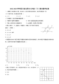 2022-2023学年四川省自贡市七年级（下）期末数学试卷（含解析）