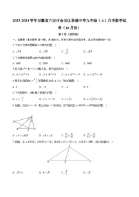 2023-2024学年安徽省六安市金安区皋城中学九年级（上）月考数学试卷（10月份）（含解析）