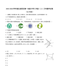 2023-2024学年湖北省武汉第一初级中学八年级（上）月考数学试卷（10月份）（含解析)