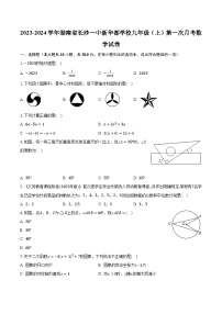 2023-2024学年湖南省长沙一中新华都学校九年级（上）第一次月考数学试卷（含解析）