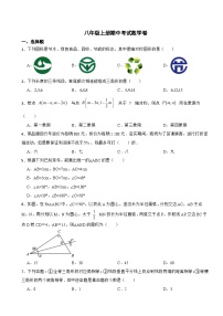 【浙教版】2023年八年级上册期中考试数学卷（附答案）