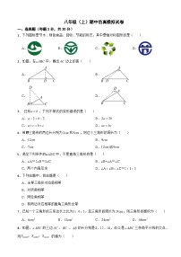 2023年浙教版数学八年级（上）期中试卷（附答案）