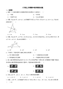 人教版2023年八年级上学期期中数学模拟试题（附答案）