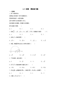 数学6.3 实数精练