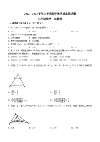 河南省驻马店市上蔡县2023-2024学年九年级上学期期中数学试题