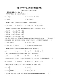 山东省德州市禹城市齐鲁中学2023-2024学年九年级上学期第一次月考数学试题