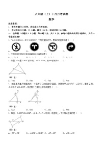 辽宁省大连市名校联盟2023-2024学年八年级上学期10月联考数学试题