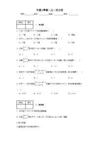 中考数学计算专项训练专题6解二元一次方程含解析答案