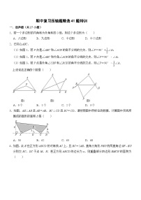 期中复习压轴特训（压轴题精选41题）-2023-2024学年八年级数学上学期期中期末考点归纳满分攻略讲练（人教版）