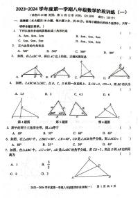 广东省湛江市廉江市良垌中学2023-2024学年八年级上学期10月月考数学试题