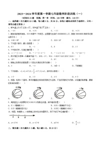 广东省湛江市廉江市2023-2024学年七年级上学期月考数学试题(无答案)